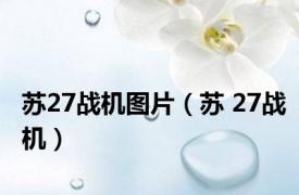 苏27战机图片（苏 27战机）