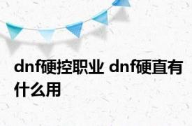 dnf硬控职业 dnf硬直有什么用 