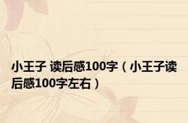 小王子 读后感100字（小王子读后感100字左右）