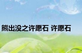 熊出没之许愿石 许愿石 