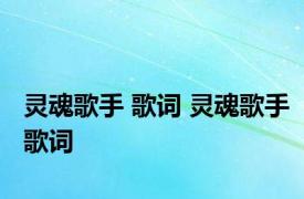 灵魂歌手 歌词 灵魂歌手歌词 