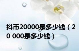 抖币20000是多少钱（20 000是多少钱）