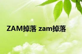 ZAM掉落 zam掉落 