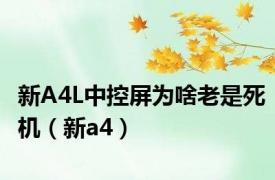 新A4L中控屏为啥老是死机（新a4）