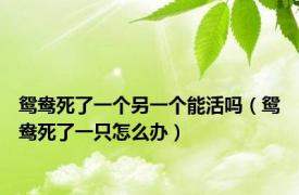 鸳鸯死了一个另一个能活吗（鸳鸯死了一只怎么办）