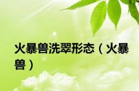 火暴兽洗翠形态（火暴兽）