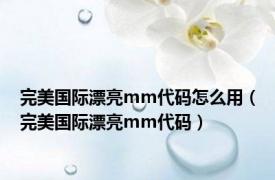 完美国际漂亮mm代码怎么用（完美国际漂亮mm代码）