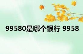 99580是哪个银行 9958 