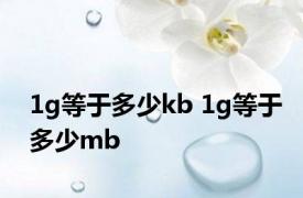 1g等于多少kb 1g等于多少mb 