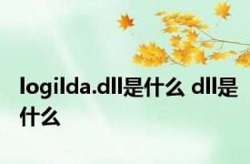 logilda.dll是什么 dll是什么 