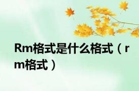 Rm格式是什么格式（rm格式）