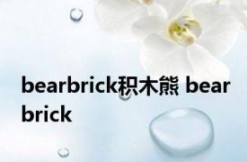 bearbrick积木熊 bearbrick 