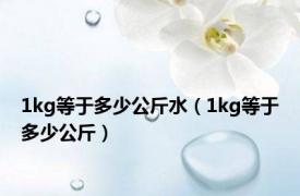 1kg等于多少公斤水（1kg等于多少公斤）