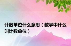 计数单位什么意思（数学中什么叫计数单位）