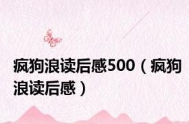 疯狗浪读后感500（疯狗浪读后感）