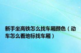 新手坐高铁怎么找车厢颜色（动车怎么看地标找车厢）