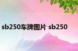 sb250车牌图片 sb250 