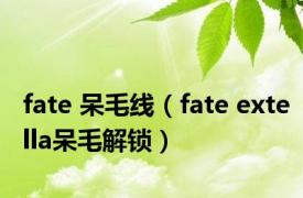 fate 呆毛线（fate extella呆毛解锁）