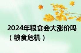 2024年粮食会大涨价吗（粮食危机）