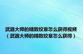 武器大师的精致纹章怎么获得视频（武器大师的精致纹章怎么获得）