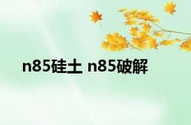 n85硅土 n85破解 