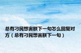 总有刁民想害朕下一句怎么回复对方（总有刁民想害朕下一句）