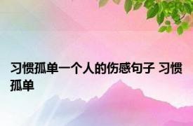 习惯孤单一个人的伤感句子 习惯孤单 