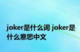 joker是什么词 joker是什么意思中文 