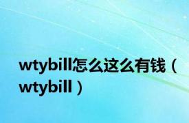 wtybill怎么这么有钱（wtybill）