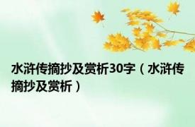 水浒传摘抄及赏析30字（水浒传摘抄及赏析）