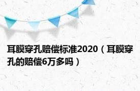 耳膜穿孔赔偿标准2020（耳膜穿孔的赔偿6万多吗）