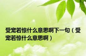 受宠若惊什么意思啊下一句（受宠若惊什么意思啊）