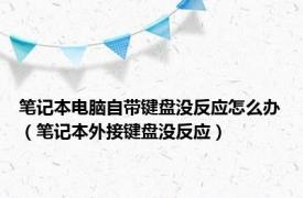 笔记本电脑自带键盘没反应怎么办（笔记本外接键盘没反应）