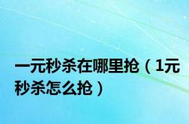 一元秒杀在哪里抢（1元秒杀怎么抢）