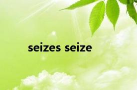 seizes seize 