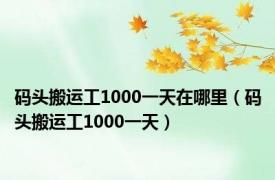 码头搬运工1000一天在哪里（码头搬运工1000一天）