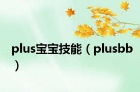 plus宝宝技能（plusbb）