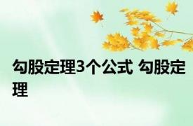 勾股定理3个公式 勾股定理 