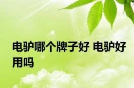 电驴哪个牌子好 电驴好用吗 