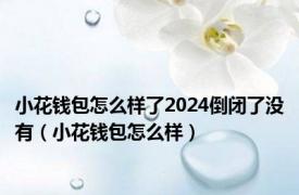 小花钱包怎么样了2024倒闭了没有（小花钱包怎么样）