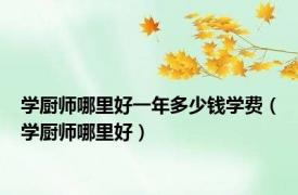 学厨师哪里好一年多少钱学费（学厨师哪里好）