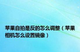 苹果自拍是反的怎么调整（苹果相机怎么设置镜像）