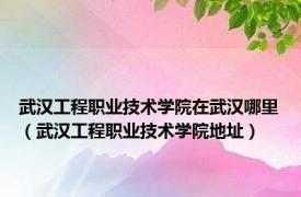 武汉工程职业技术学院在武汉哪里（武汉工程职业技术学院地址）