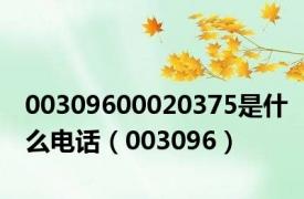 00309600020375是什么电话（003096）