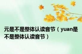 元是不是整体认读音节（yuan是不是整体认读音节）