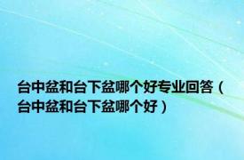 台中盆和台下盆哪个好专业回答（台中盆和台下盆哪个好）