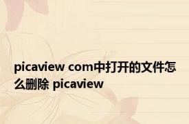 picaview com中打开的文件怎么删除 picaview 