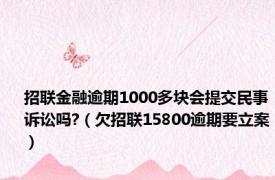 招联金融逾期1000多块会提交民事诉讼吗?（欠招联15800逾期要立案）