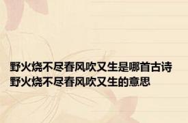 野火烧不尽春风吹又生是哪首古诗 野火烧不尽春风吹又生的意思 