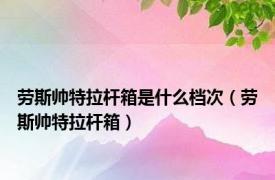 劳斯帅特拉杆箱是什么档次（劳斯帅特拉杆箱）